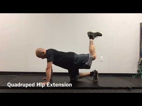 Quadruped Hip Extension - YouTube