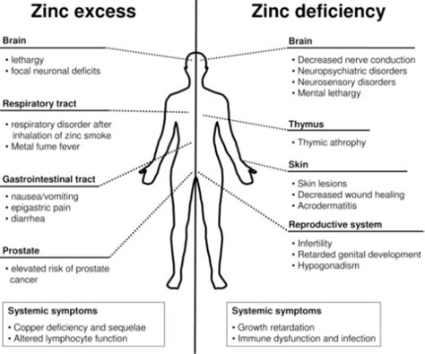 Zinc Tablets Side Effects