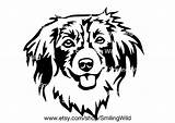 Kooikerhondje Dog Svg Clipart Portrait Vector Graphic Art  Etsy sketch template