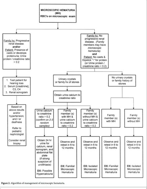 general-practice-microscopic-hematuria