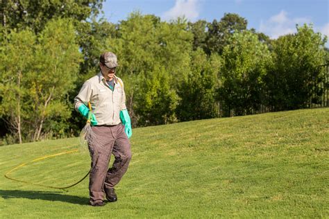 How to Get Rid of Grass Burrs & Stickers in Your Texas Lawn