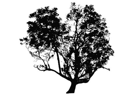 Vector Illustration Of Tree Silhouette And Shadow Stock Illustration ...