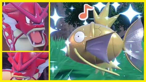 Shiny Full Odds Magikarp in Pokemon Scarlet! - YouTube