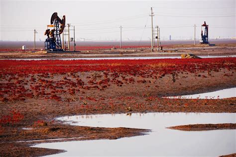 钻地龙装上“千里眼”，中国掌握油田开采关键技术，再不用请外援