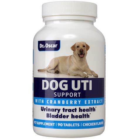 Dog Urine Sample Uti at Aimee Lewis blog