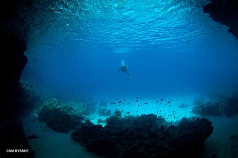 The Famous "BLUE ROOM"! The #1 Snorkeling spot on Curacao!!! "Simple yet Mesmerizing"... Ty ...