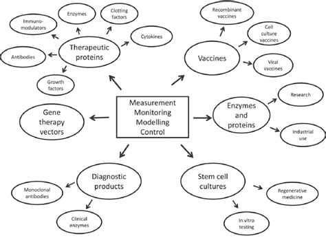 Main areas of cell culture applications where M 3 C methods are required. | Download Scientific ...