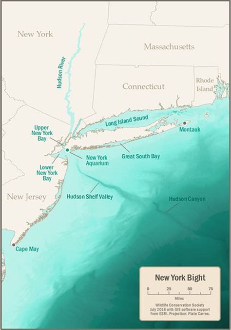 A canyon-sized power struggle is developing 100 miles off N.J.'s coast ...