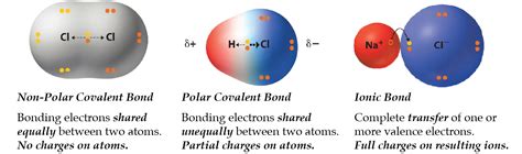 Polar Covalent Molecule