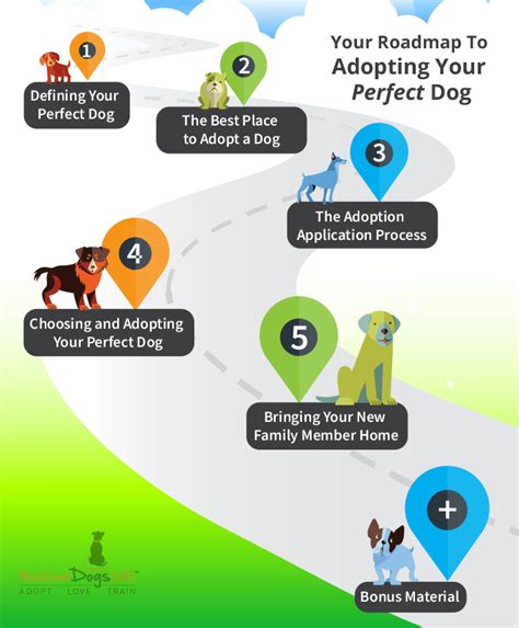 Whats The Process For Adopting A Dog