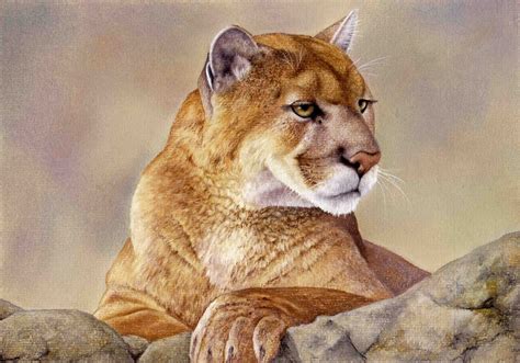 Draw These Animals using Pastel Pencils | Art pastel, Dessin, Peinture