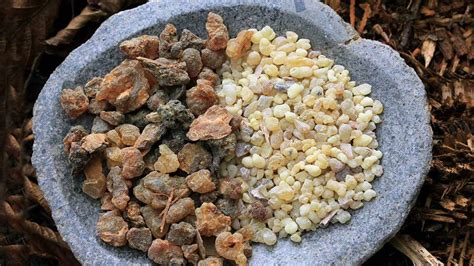 What are frankincense and myrrh? | HowStuffWorks