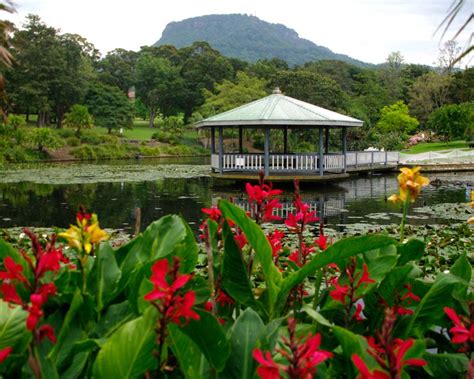 Wollongong Botanic Gardens | GardensOnline