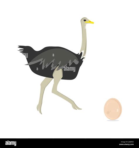 Ostrich egg art hi-res stock photography and images - Alamy