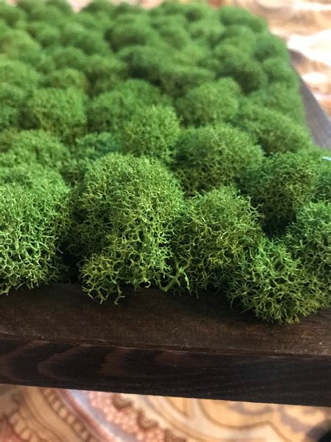 Moss Wall Art Wall Decor Wall Art Moss Wall Moss Art - Etsy