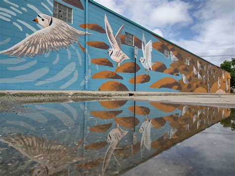 Justseeds | Endangered Species Murals #27: Piping Plover