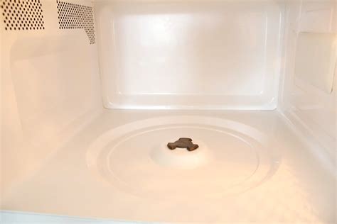 How To Clean Microwave Without Scrubbing - Easy Peasy Creative Ideas