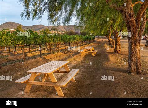 Beautiful Agua Dulce Winery during Sunset Stock Photo - Alamy