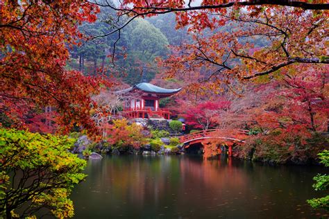 Japanese Nature Hd Wallpaper