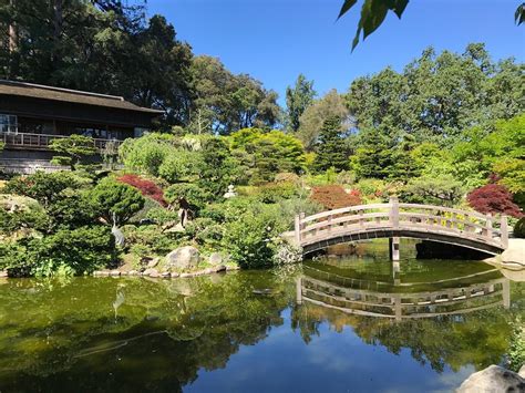 Hakone Gardens (Saratoga) - 2022 Lohnt es sich? (Mit fotos)