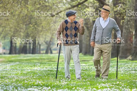 Two cheerful elderly men walking in a park and having a conversation ...