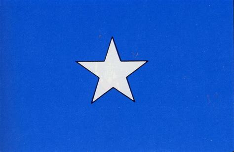 History of the Bonnie Blue Flag | Blue flag, Lone star flag, Flag store