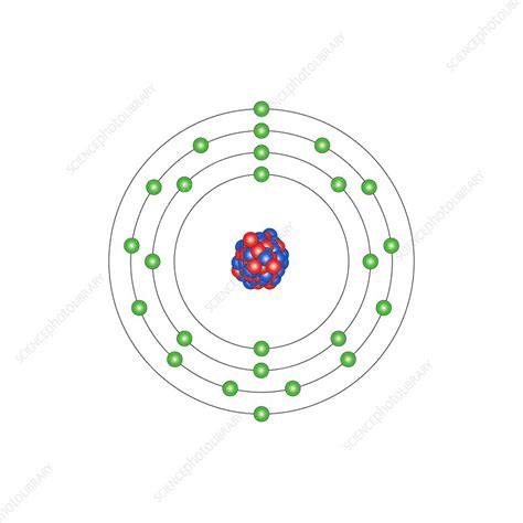 Manganese, atomic structure - Stock Image C013/1538 - Science Photo Library