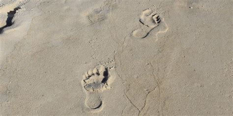 Africa’s biggest collection of ancient human footprints discovered ...