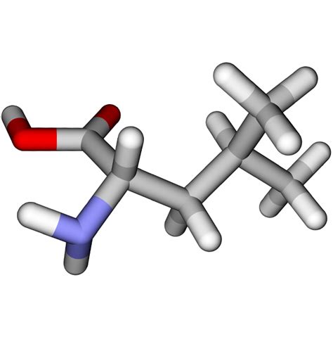 L Leucine - Benefits, Dosage & Side Effects - MrSupplement.com.au