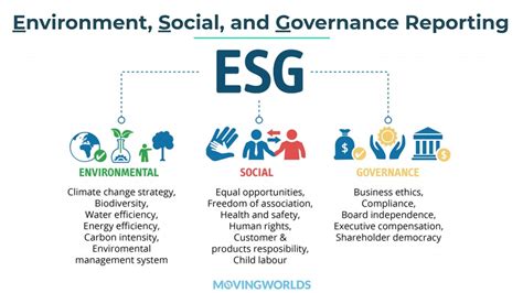 What ESG Reporting Is and How to Do It | A MovingWorlds Guide ...