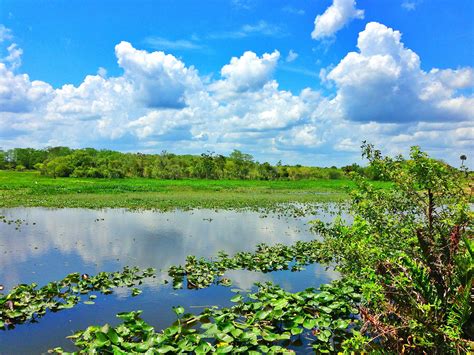 Everglades Florida | Everglades florida, Everglades, Natural landmarks