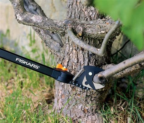 The 10 Best Manual Pole Pruners and Loppers for Tree Trimming - Dengarden