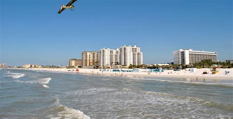 Best Beaches in Tampa — Choice Hotels