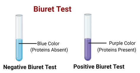 28+ Calculate Molarity Of Protein - MarcHarvier