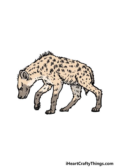 Cute Hyena Drawing