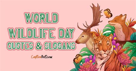 World Wildlife Day Quotes & Slogans - Captionpost