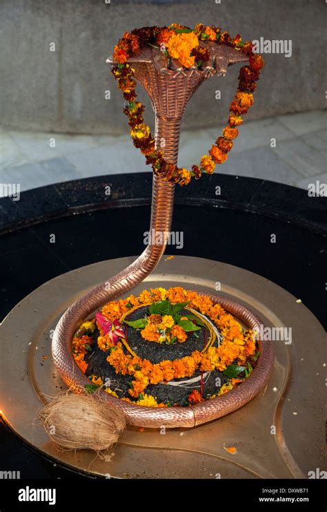 India, Dehradun. Sheshnag, the Divine Five-headed Serpent in Hindu Mythology, at Tapkeshwar ...