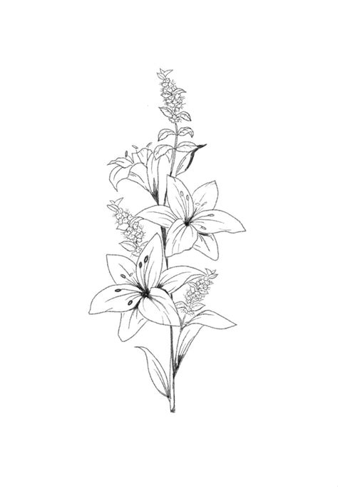 Floral arrangement of lillies and mint flowers drawing Lilly Flower Tattoo, Mint Flowers, Flower ...