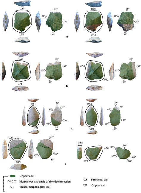 Large flake tools with double functional structure from Observatoire... | Download Scientific ...