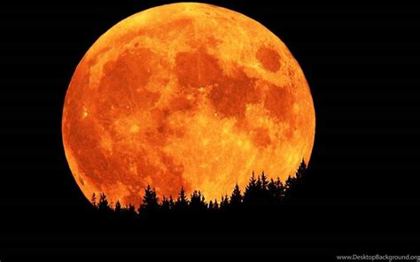 Orange Moon Wallpapers - Top Free Orange Moon Backgrounds - WallpaperAccess