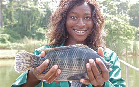 Genetically Improved Farmed Tilapia: Benefiting aquatic food producers ...