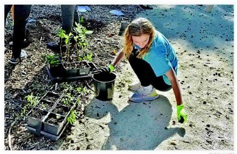 Bettendorf High School students keep busy for the bees