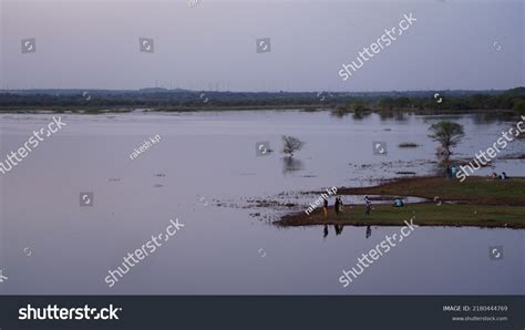 Hesaraghatta Lake Bangalore Karnataka January 23 Stock Photo 2180444769 | Shutterstock