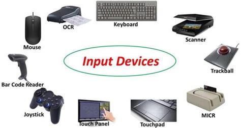 Difference Between Input And Output Device With Examples - VIVA DIFFERENCES