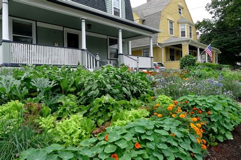 Less Noise, More Green: Edible Landscape Project: Garden Photos