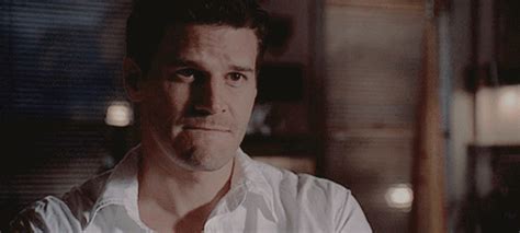 Seeley Booth - Bones Fan Art (39691545) - Fanpop