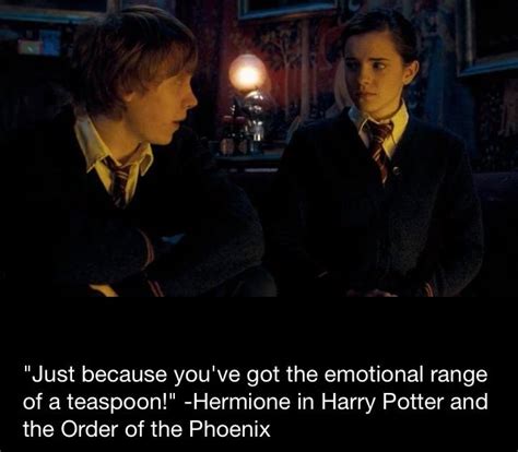 Ron & Hermoine Favorite quote | Harry and hermione, Harry potter hermione, Nerd life