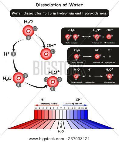 Dissociation Water Image & Photo (Free Trial) | Bigstock
