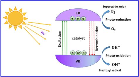 Schematic diagram of photocatalytic reaction showing the electron-hole ...