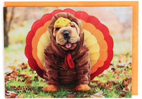 10 of the Cutest Dog Thanksgiving Cards for TRUE Dog Lovers